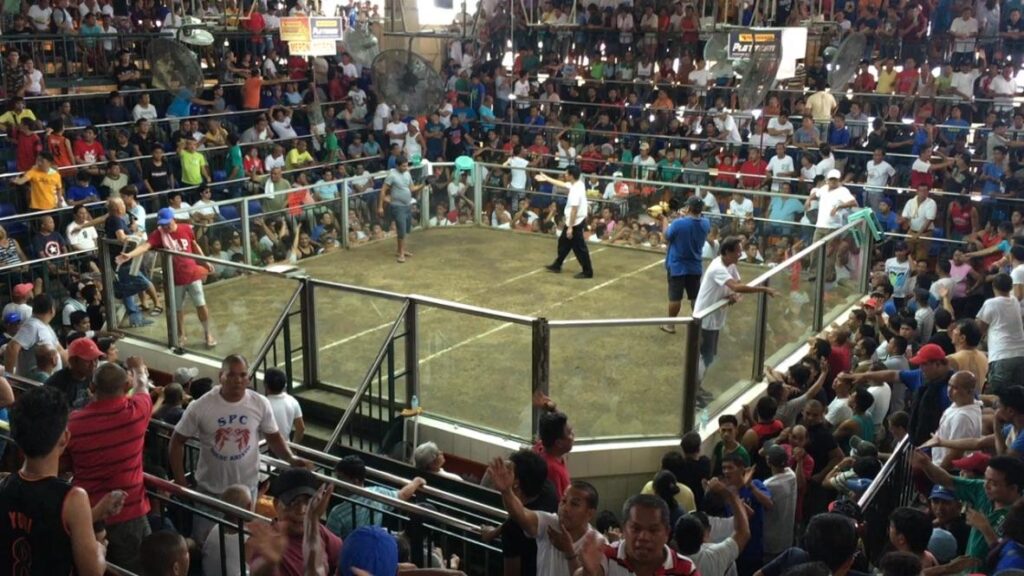 Arena Sabung Ayam
